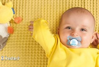 Bébé poussin jaune Bébé poussin jaune