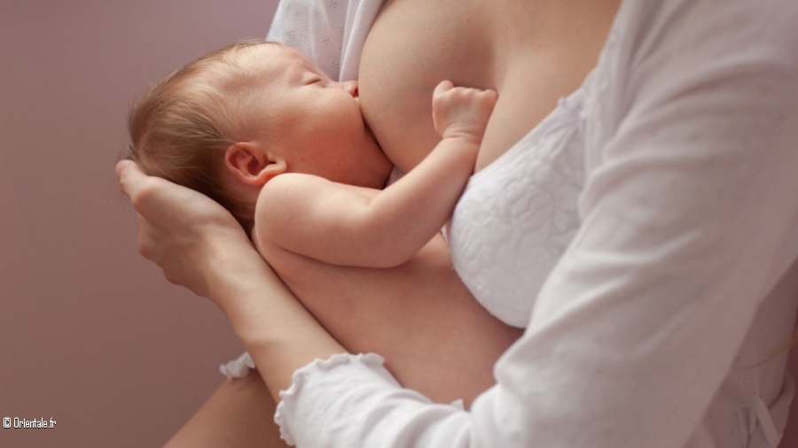 Femme donnant sein bébé, allaitement Femme donnant sein bébé, allaitement