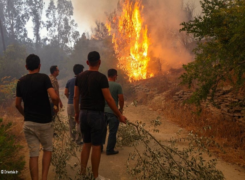 Des feux de forêt en Turquie Des feux de forêt en Turquie