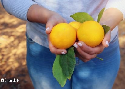 Une femme rurale tient des oranges Une femme rurale tient des oranges