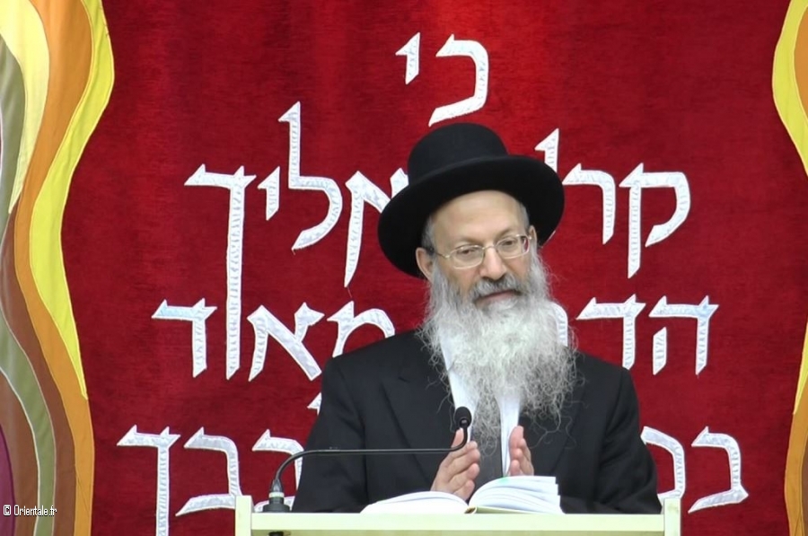 Rabbin qui interprète la Loi d'après le Shulchan Aruch Rabbin qui interprète la Loi d'après le Shulchan Aruch